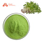 Natural Organic Alfalfa Juice Powder Food Grade Promotes Overall Health