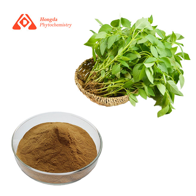 TLC Natural Herb Extract Food Grade Herb Nepeta Cataria Extract