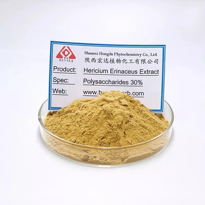Estratto di criniera di leone Capsule di Hericium erinaceus per persone con digestione debole