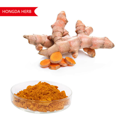 Estratto vegetale puro di curcuma longa in polvere 95% HPLC Antiossidante e antinfiammatorio