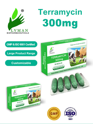 Farmaco veterinario antibatterico Florfenicol Iniezione Per bovini Pecore Capre